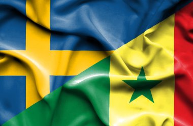 senegal ve İsveç bayrağı sallayarak