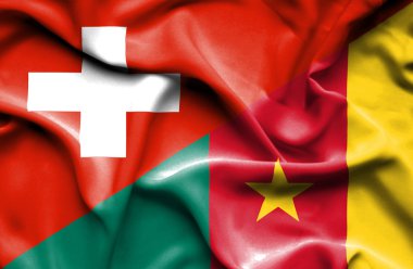 Kamerun ve İsviçre bayrağı sallayarak