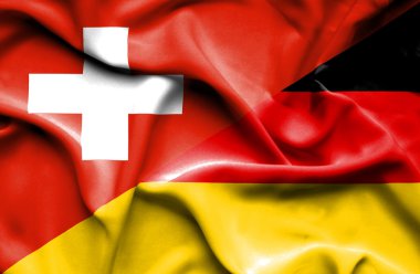 Almanya ve İsviçre bayrağı sallayarak