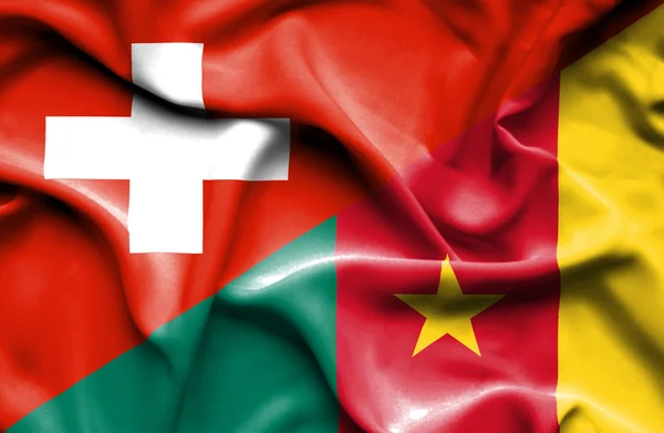 Kamerun ve İsviçre bayrağı sallayarak — Stok fotoğraf