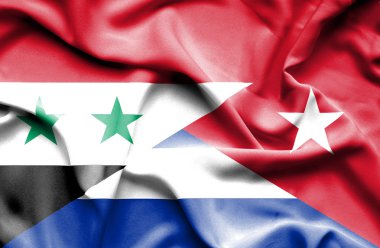 Küba ve Suriye bayrağı sallayarak