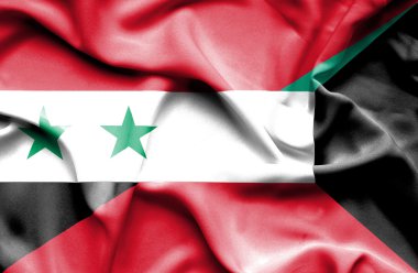 Kuveyt ve Suriye bayrağı sallayarak