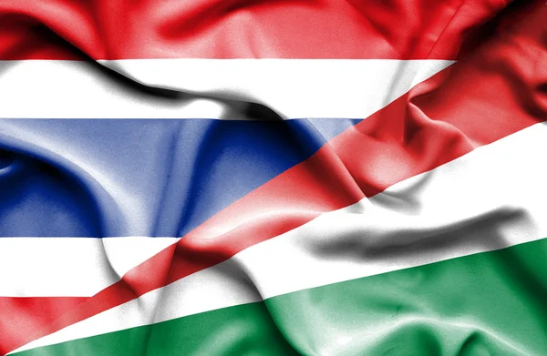 Bandiera sventolante delle Seychelles e Thailandia — Foto Stock