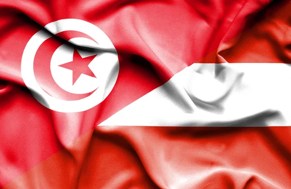 Waving flag of Austria and Tunisia — Stock Photo, Image