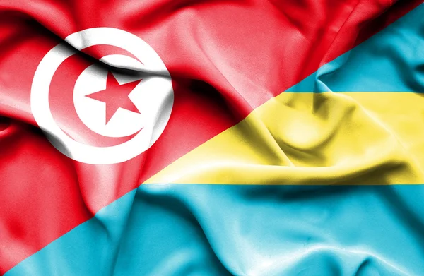 Waving flag of Bahamas and Tunisia — Stock Photo, Image