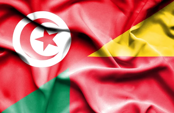 Waving flag of Benin and Tunisia — Stock Photo, Image