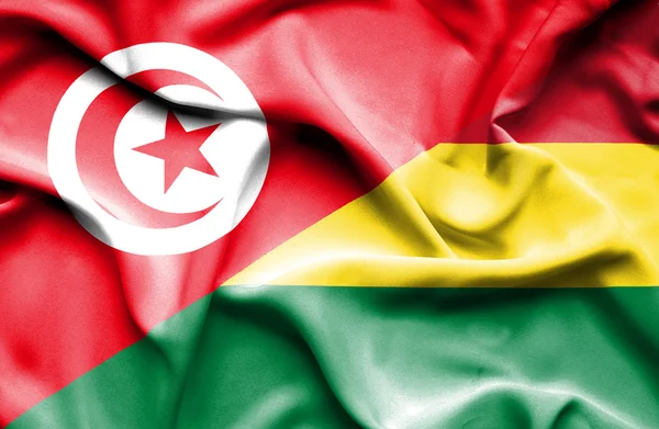 Waving flag of Bolivia and Tunisia — Stock Photo, Image