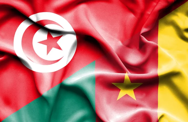 Wapperende vlag van Kameroen en Tunesië — Stockfoto