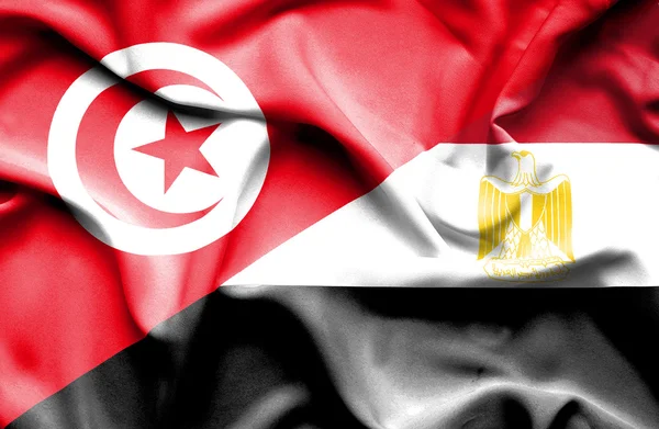 Egyptin ja Tunisian lipun heiluttaminen — kuvapankkivalokuva