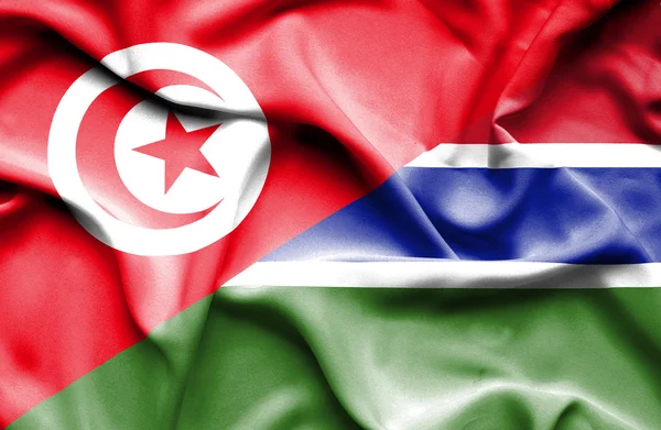 Waving flag of Gambia and Tunisia — Stock Photo, Image