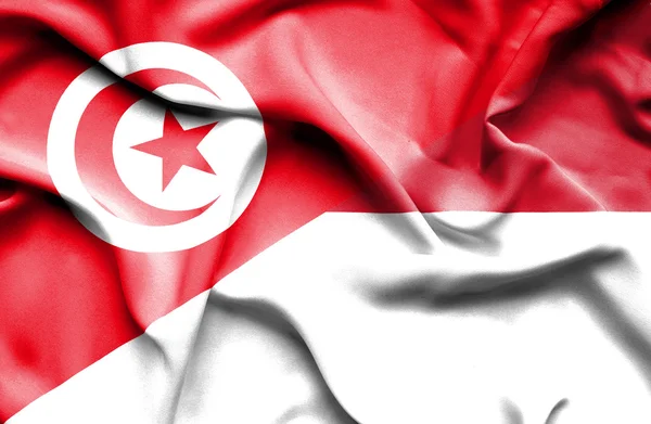 Waving flag of Indonesia and Tunisia — Stock Photo, Image