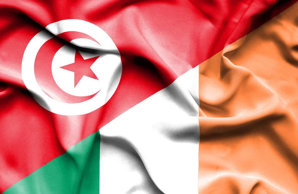 Waving flag of Ireland and Tunisia — Stock Photo, Image