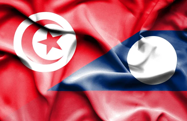 Waving flag of Laos and Tunisia — Stock Photo, Image