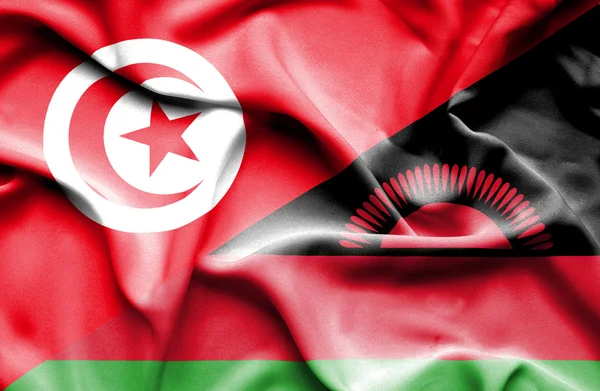 Wapperende vlag van malawi en Tunesië — Stockfoto