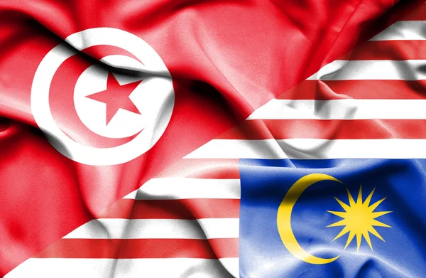 Waving flag of Malaysia and Tunisia — Stock Photo, Image