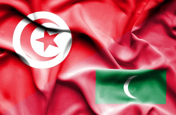 Розмахуючи прапором Мальдіви і Тунісу — стокове фото