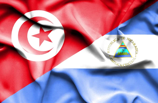 Waving flag of Nicaragua and Tunisia — Stock Photo, Image