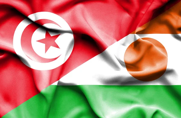 Waving flag of Niger and Tunisia — Stock Photo, Image