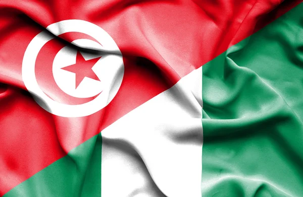 Wapperende vlag van nigeria en Tunesië — Stockfoto