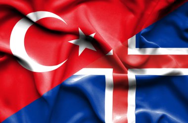 İzlanda ve Türkiye'nin bayrak sallayarak