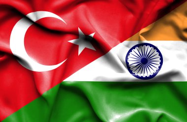 Türkiye ve Türk bayrağı sallayarak