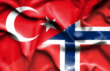Norveç ve Türkiye'nin bayrak sallayarak