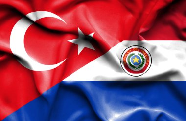 paraguay ve Türk bayrağı sallayarak