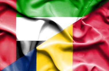chad ve Birleşik Arap Emirlikleri bayrağı sallayarak