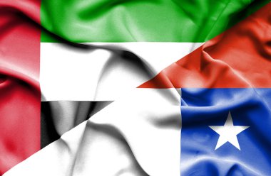 Şili ve Birleşik Arap Emirlikleri bayrağı sallayarak