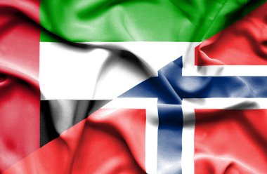 Norveç ve Birleşik Arap Emirlikleri bayrağı sallayarak