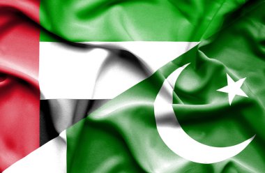 pakistan ve Suudi Arabistan bayrağı sallayarak