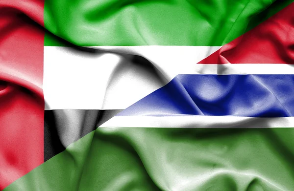 Bandiera sventolante del Gambia e degli Emirati Arabi Uniti — Foto Stock