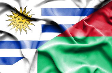 Madagaskar ve uruguay bayrağı sallayarak