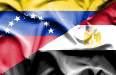 Waving flag of Egypt and Venezuela