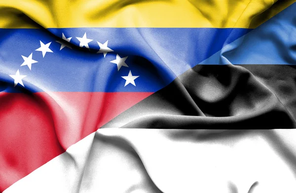 Waving flag of Estonia and Venezuela — Stockfoto