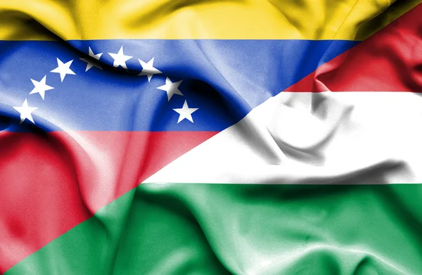 Waving flag of Hungary and Venezuela — Zdjęcie stockowe