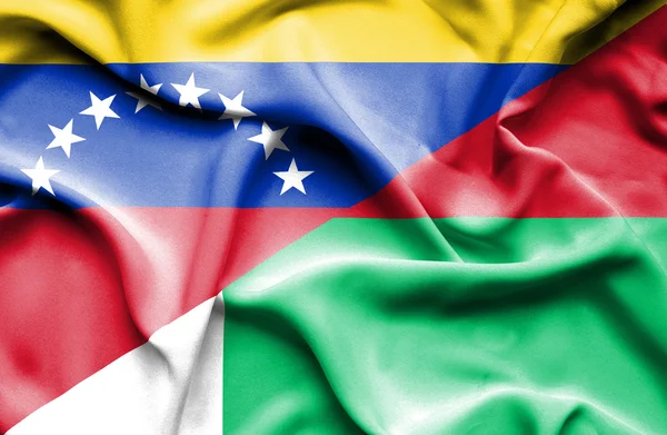 Waving flag of Madagascar and Venezuela — Stock fotografie