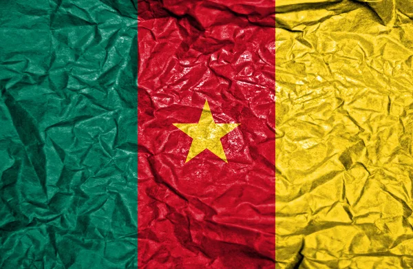 Cameroon vintage flag on old crumpled paper background — Stock Photo, Image