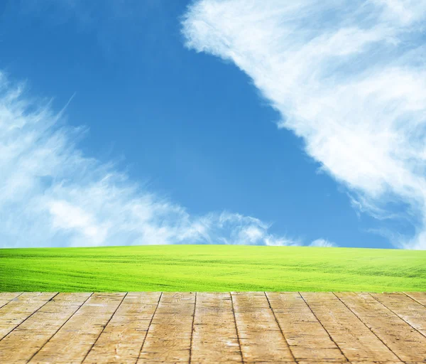 Ανοιξιάτικα πράσινο γρασίδι με το γαλάζιο του ουρανού και ξύλινο πάτωμα — Φωτογραφία Αρχείου