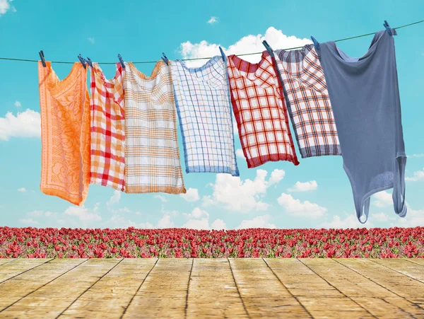 Laundry hanging over flower field with wooden floor — Stock Photo, Image