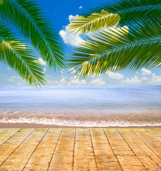 Mer tropicale et plage avec feuilles de palmier et plancher en bois — Photo