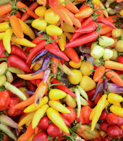 Peppers background — Stock Photo, Image