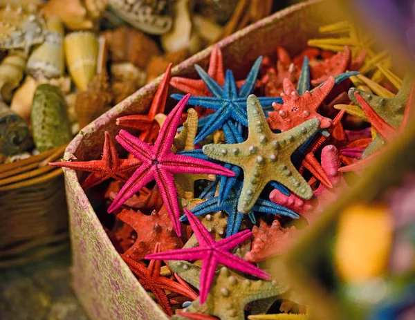 Groupe d'étoiles de mer colorées et coquillages dans des paniers au marché — Photo