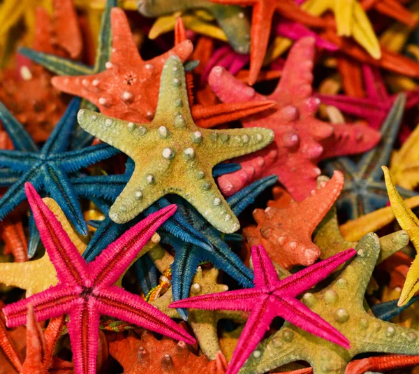 Grupo de estrelas coloridas do mar — Fotografia de Stock