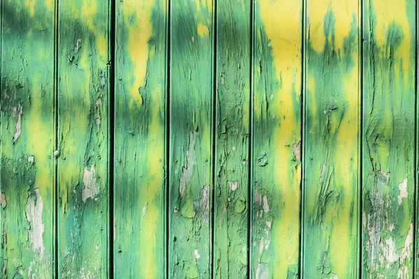 Doğal yeşil ahşap doku knot ve yüzük çizgiler bir dizi ile — Stok fotoğraf