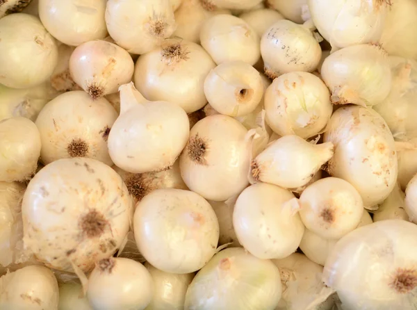 Onions pile — Stock Photo, Image