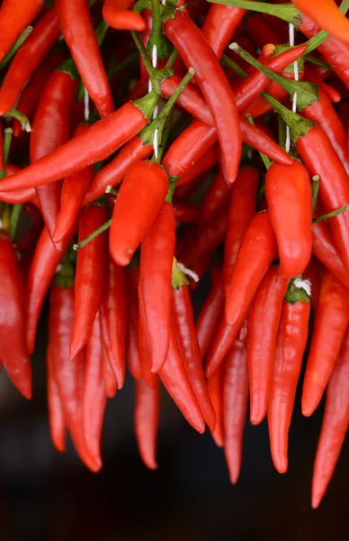 Red peppers hanging — Stock Photo, Image