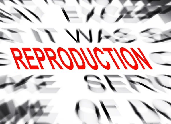 Blured text with focus on REPRODUCTION — Stock Photo, Image