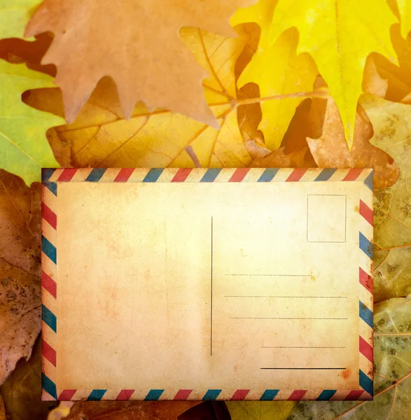 Blank postcard on autumn leaves — Stock Photo, Image