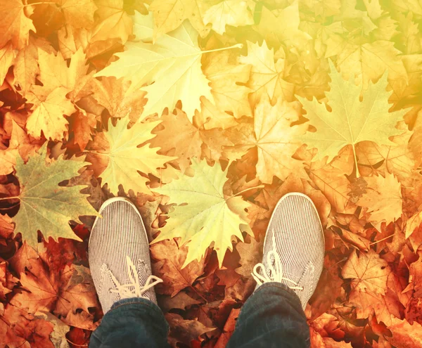 Walking in nature conceptual image — Stock Photo, Image